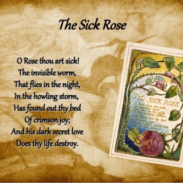 Rose Thou Art Sick by William Blake image